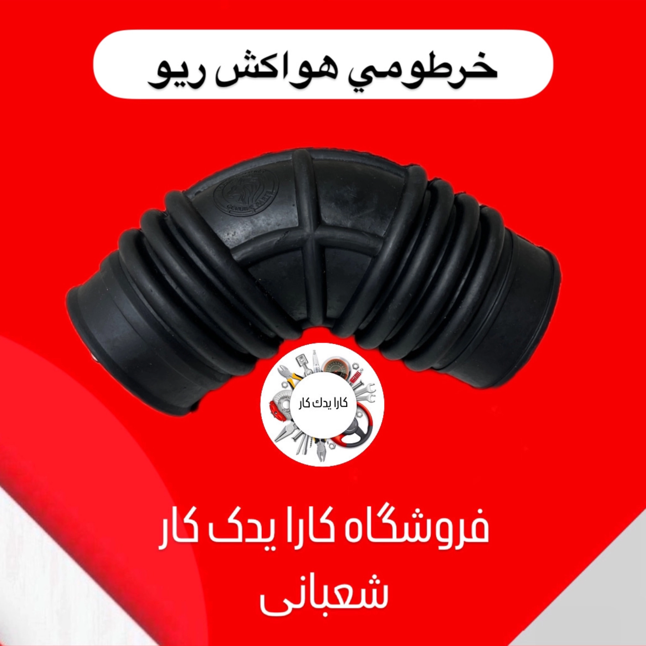 خرطومی هواکش ریو