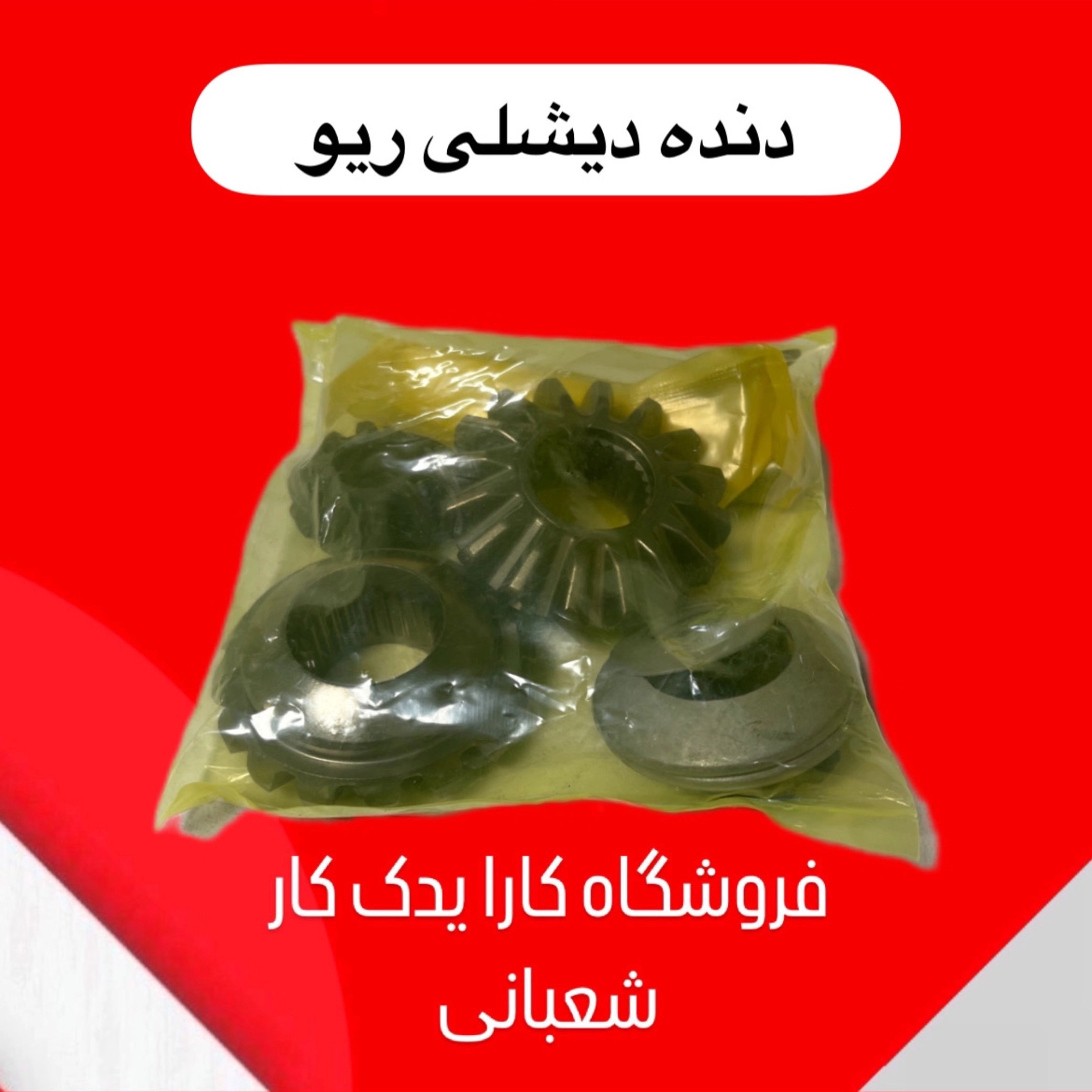 دنده دیشلی ریو