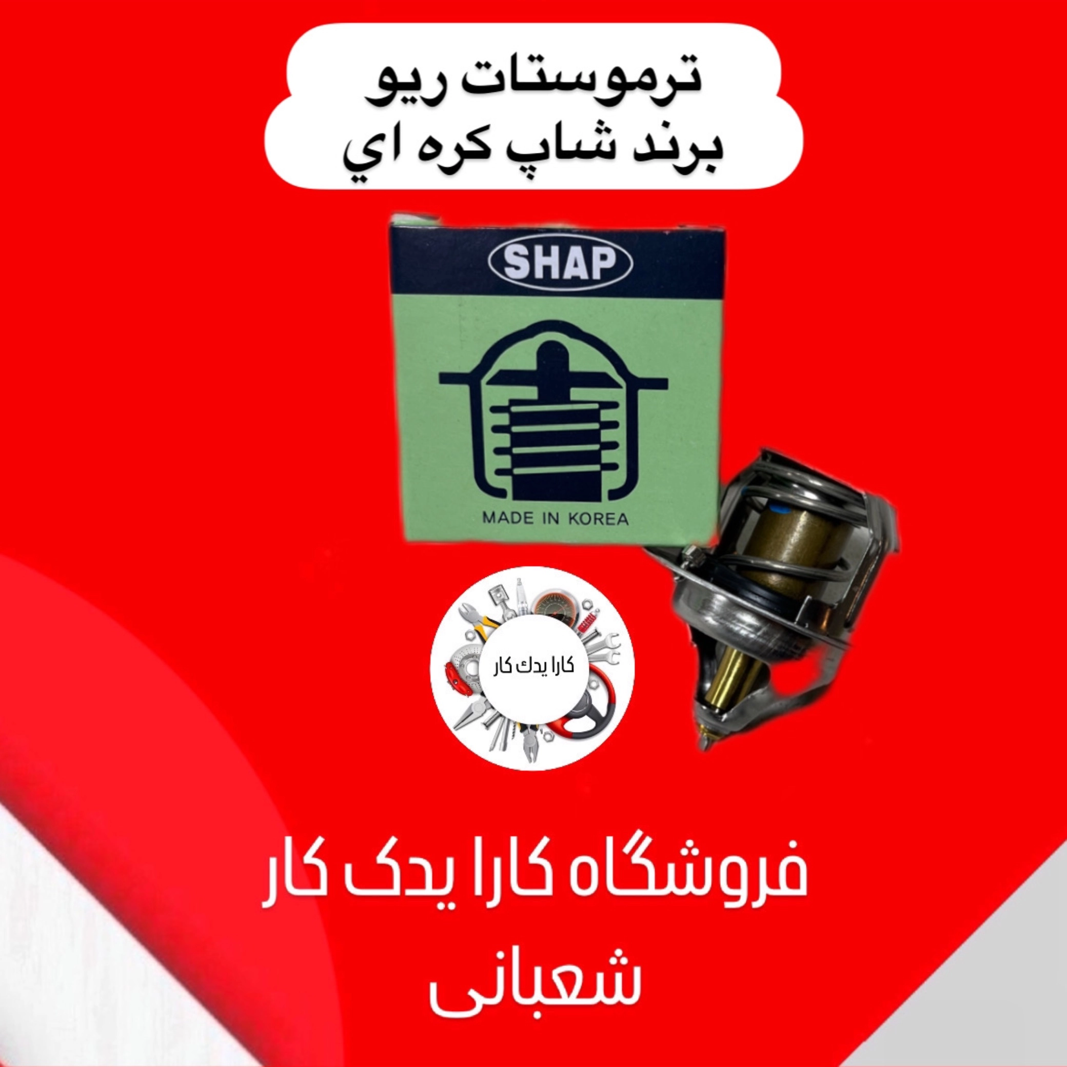 ترموستات ریو شاپ کره