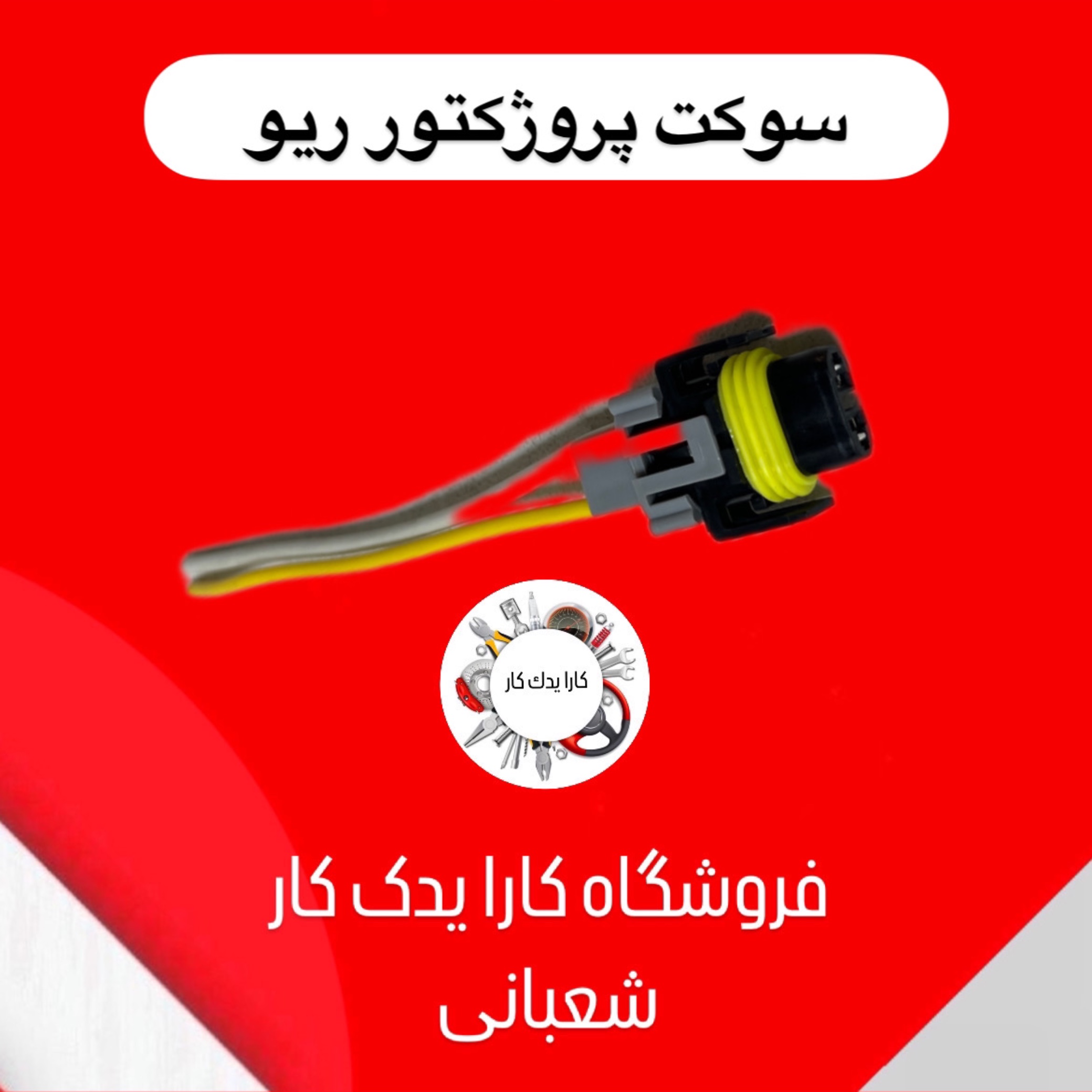 سوکت پروژکتور ریو