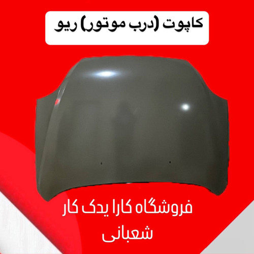 درب موتور ریو