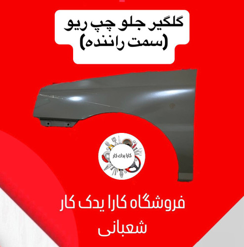 گلگیر جلو چپ ریو ایرانی