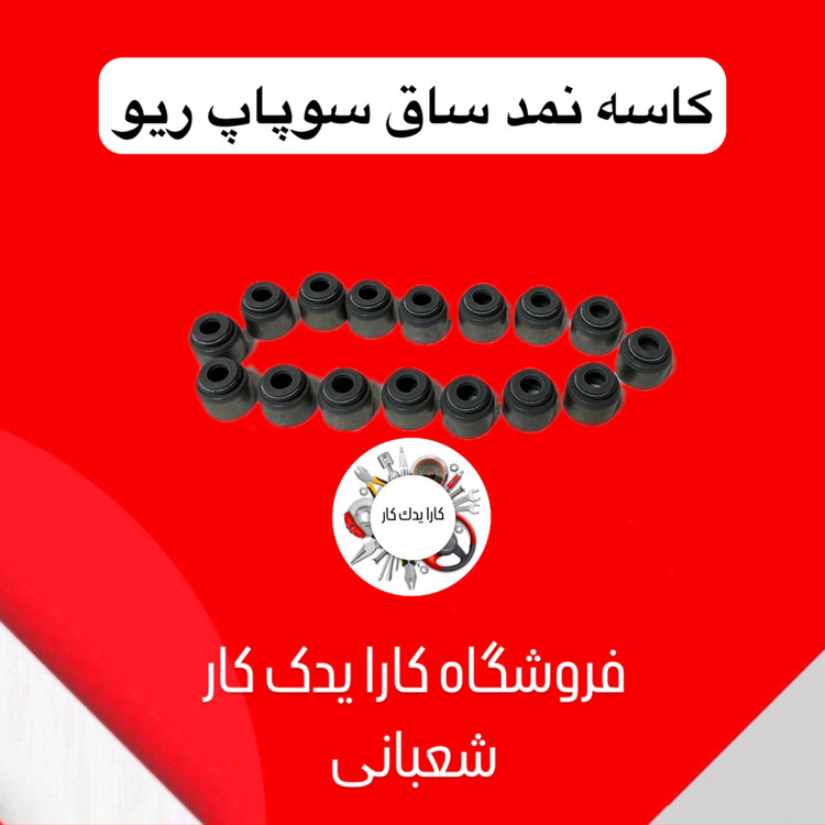 کاسه نمد ساق سوپاپ ریو کره ای