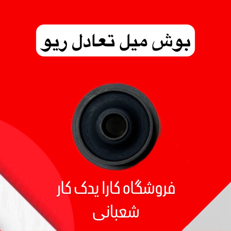 بوش میل تعادل ریو کره ای