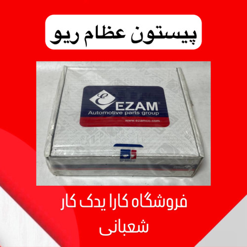 پیستون عظام ریو استاندارد